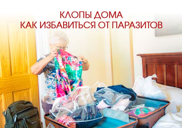 Клопы дома: как избавиться от паразитов в Красногорске