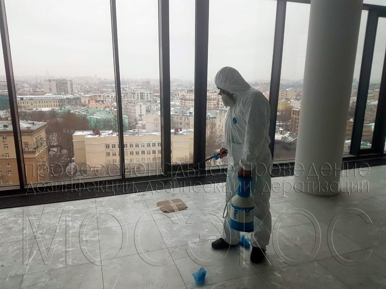 Обработка от тараканов в квартире в Красногорске