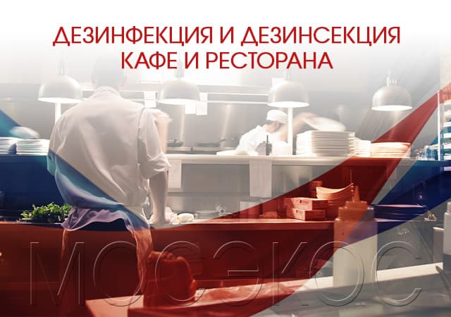 Дезинсекция предприятия общественного питания в Красногорске