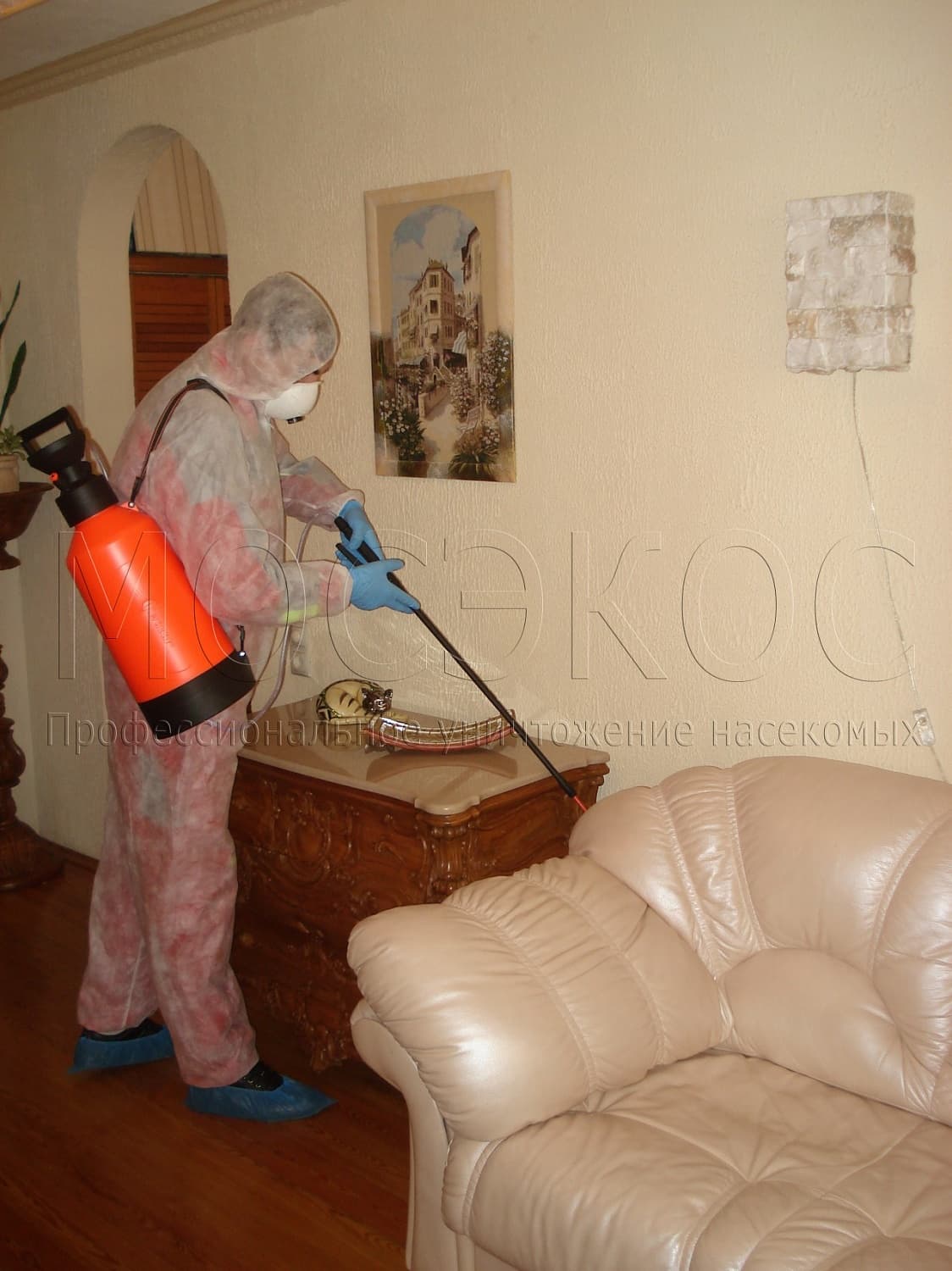 Клопы дома: как избавиться от паразитов в Красногорске